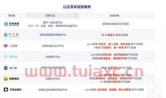 股东可以投资公司项目吗（股东可以投标吗）