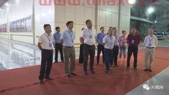 广西交通投资集团向东（广西交通投资集团副总经理）