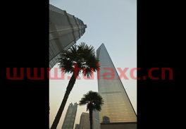 上海环球金融中心酒店名字（上海环球金融中心酒店名字叫什么）