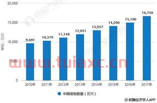 如何分析市场机会,寻找潜力细分领域的发展