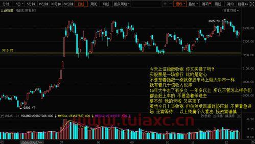 今天上证指数涨了多少点