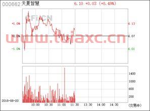 天夏智慧股票行情