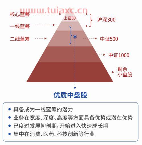 汇添富中盘价值精选混合