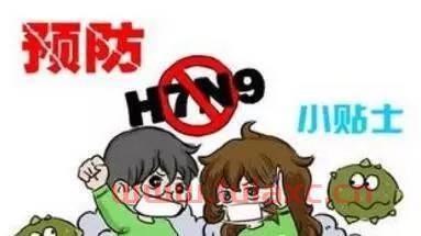 h7n9进入高发期