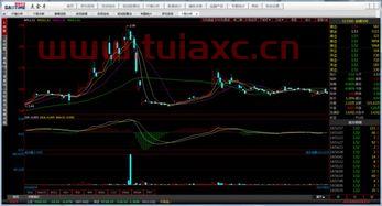 有什么玩股票的软件吗（有什么玩股票的软件吗） 第1张