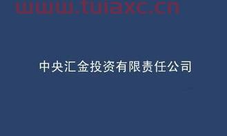 怎么进中央汇金投资有限责任公司工作