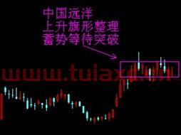 中国远洋股票