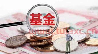 基金短期赚的多还是长期