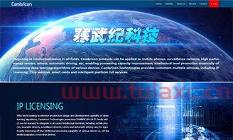 寒武纪公司