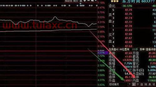 新手应该怎样买股票和基金