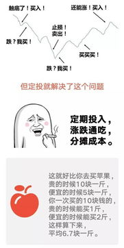 新手入门在哪些软件买基金