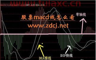 股票线咋看