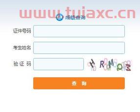 证券从业资格证证书编号怎么查询
