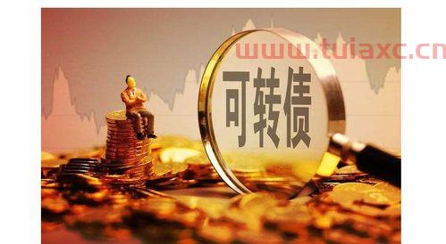 股票账户怎么申购可转债（股票账户怎么申购可转债基金） 第1张