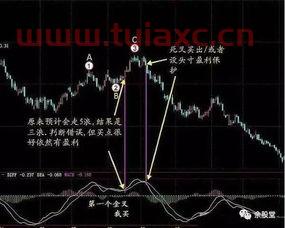 精准妖股涨停选股公式