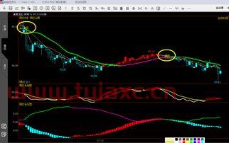 股票指数期货的结算采用什么方式
