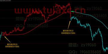 新手零基础炒股怎么学