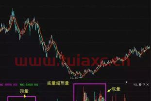 为什么刚开的户不能买股票