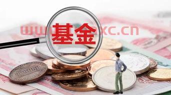 新手玩基金怎么赚钱的