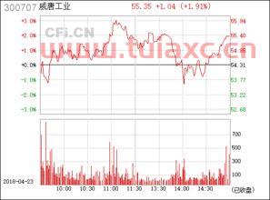 300707威唐工业