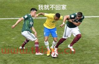 世界杯录播