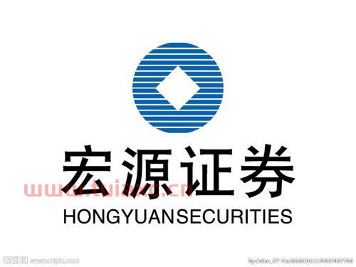 宏源证券公司