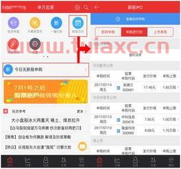 今天新股中签号公布