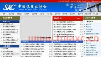 包含证券业协会从业人员管理平台系统编号是什么样的的词条 第1张