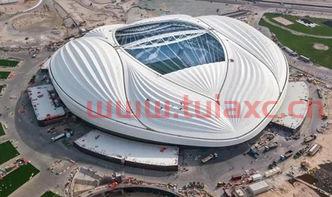 2022卡塔尔世界杯有中国吗知乎