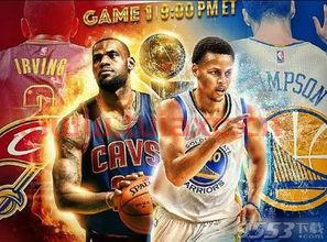 20122013nba总决赛