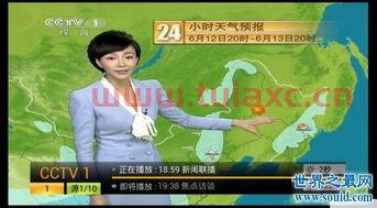 中央四台女主持人名单及照片