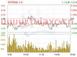 双环科技股票