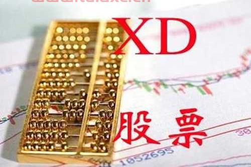 股票名称前加xd是什么意思