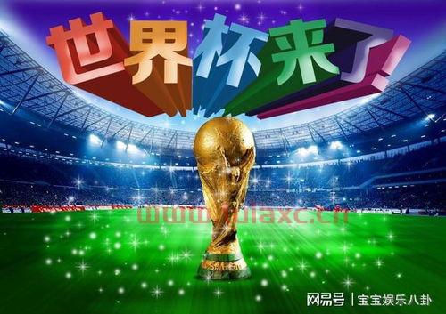 2022世界杯哪几个国家队参加冬奥会