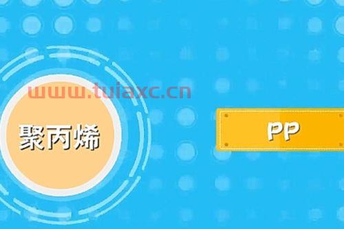 PP为什么叫PP