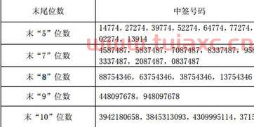 隆基转债中签率多少算高的股票（隆基转债中签号） 第1张