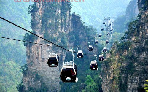 张家界旅游股票（张家界旅游股票发行价） 第1张