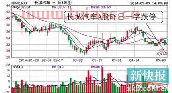长城汽车股票股吧最新消息（长城汽车股票股吧最新消息新闻） 第1张