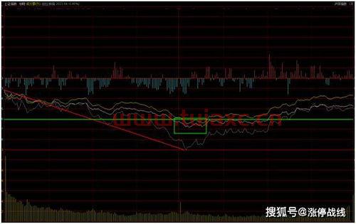 今日基金大盘走势图行情260108（今日基金大盘分析最新走势） 第1张
