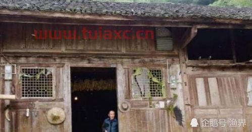 金丝楠木整栋房（整栋房子都是金丝楠木） 第1张