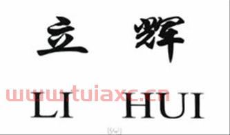 立辉科技集团有限公司（立辉中国有限公司） 第1张
