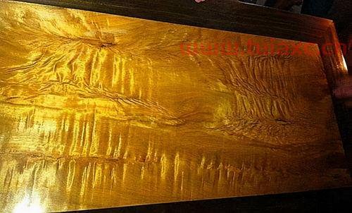 家里养金丝楠木好吗风水好吗（家里栽金丝楠风水好吗） 第1张