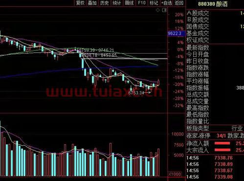 浙江起步股票今天行情（浙江股票大涨） 第1张
