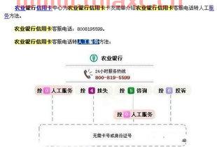打建设银行人工服务服务密码是多少（建设银行人工服务要密码） 第1张