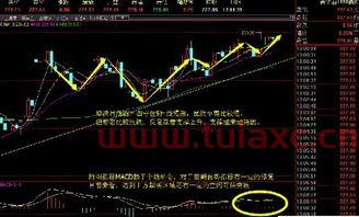 了解国际原油价格最新行情看什么平台好一点（国际原油当前价格） 第1张