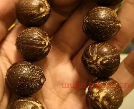 黄金竹节手串（黄金竹节手串怎么盘玩） 第1张