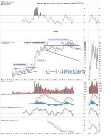 特斯拉股票实时股价行情（特斯拉股票 实时行情） 第1张