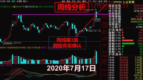 2020年细谈金丝楠木行情走势分析（2020年金丝楠木升值了吗） 第1张