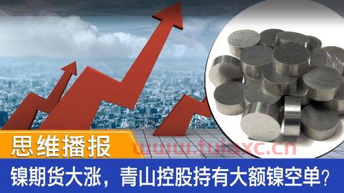 镍金属期货行情（金属镍期货实时行情） 第1张