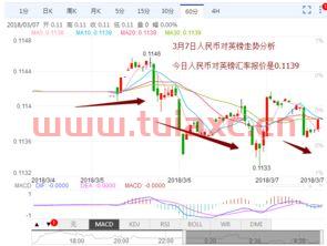 中银香港外汇牌价的英镑（中银香港美元汇率） 第1张